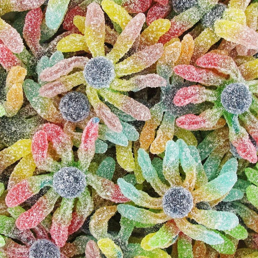 Ursula Poulpe La Pieuvre acides (100g)