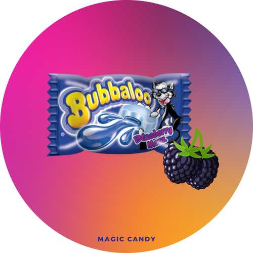 Bubbaloo Gum Myrtille